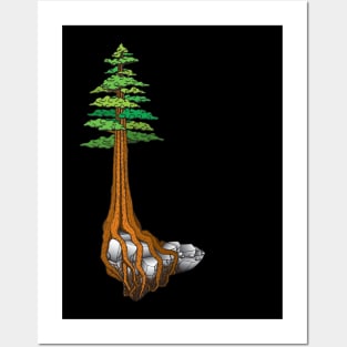 Giant Sequoia Posters and Art